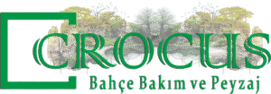 Crocus
bahçe bakımı ve peyzaj düzenleme
